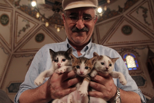 Hızırbey Camii'nin sevimli misafirleri